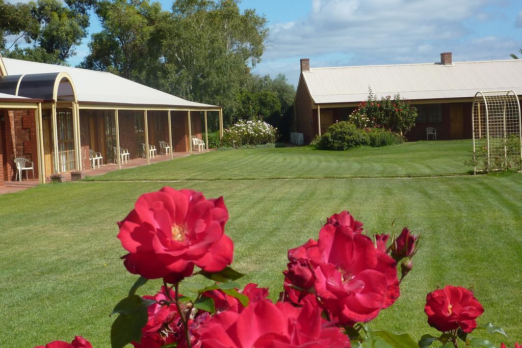 Coonawarra Place Motor Inn Exteriör bild