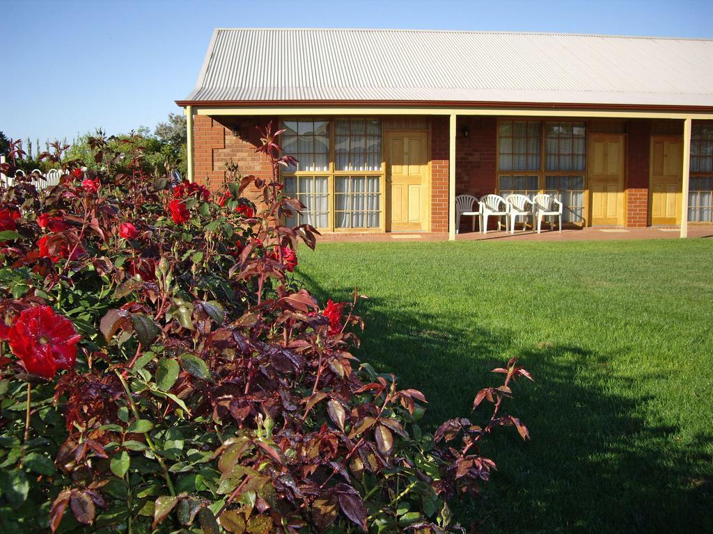 Coonawarra Place Motor Inn Exteriör bild
