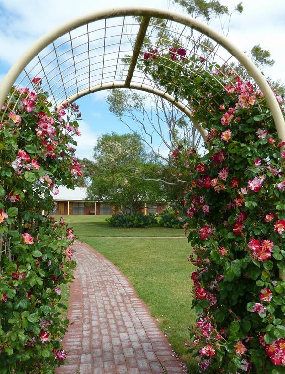 Coonawarra Place Motor Inn Exteriör bild
