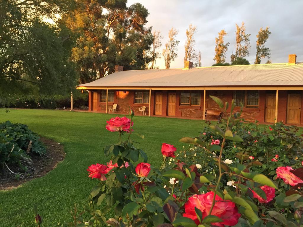 Coonawarra Place Motor Inn Exteriör bild