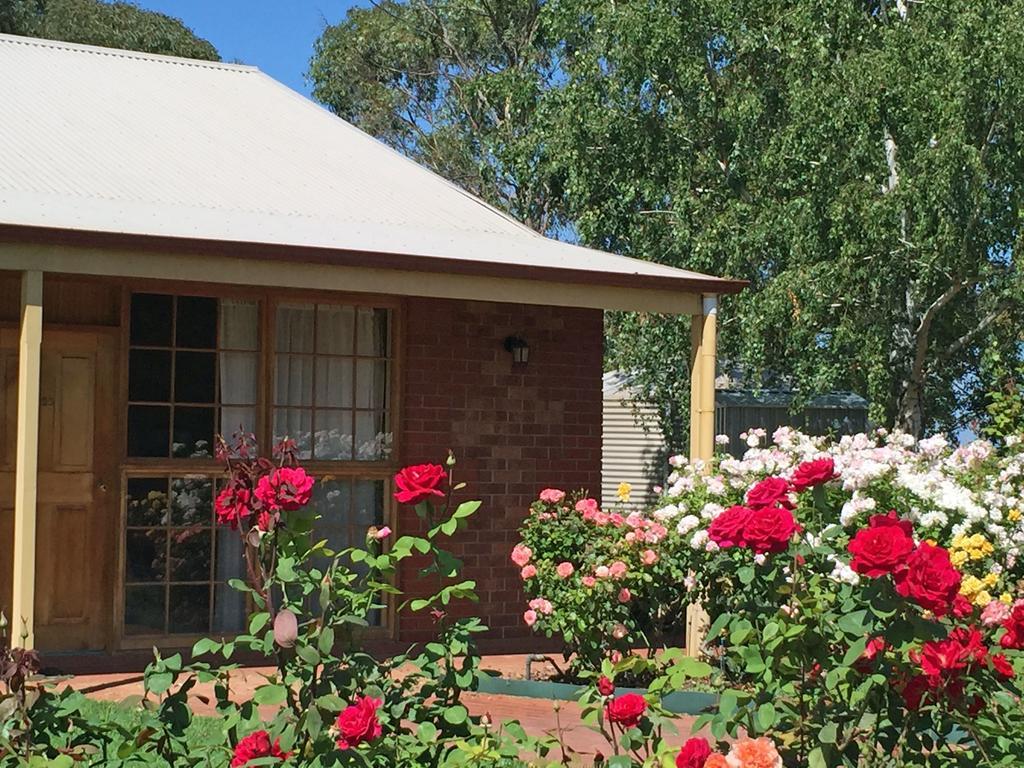 Coonawarra Place Motor Inn Exteriör bild