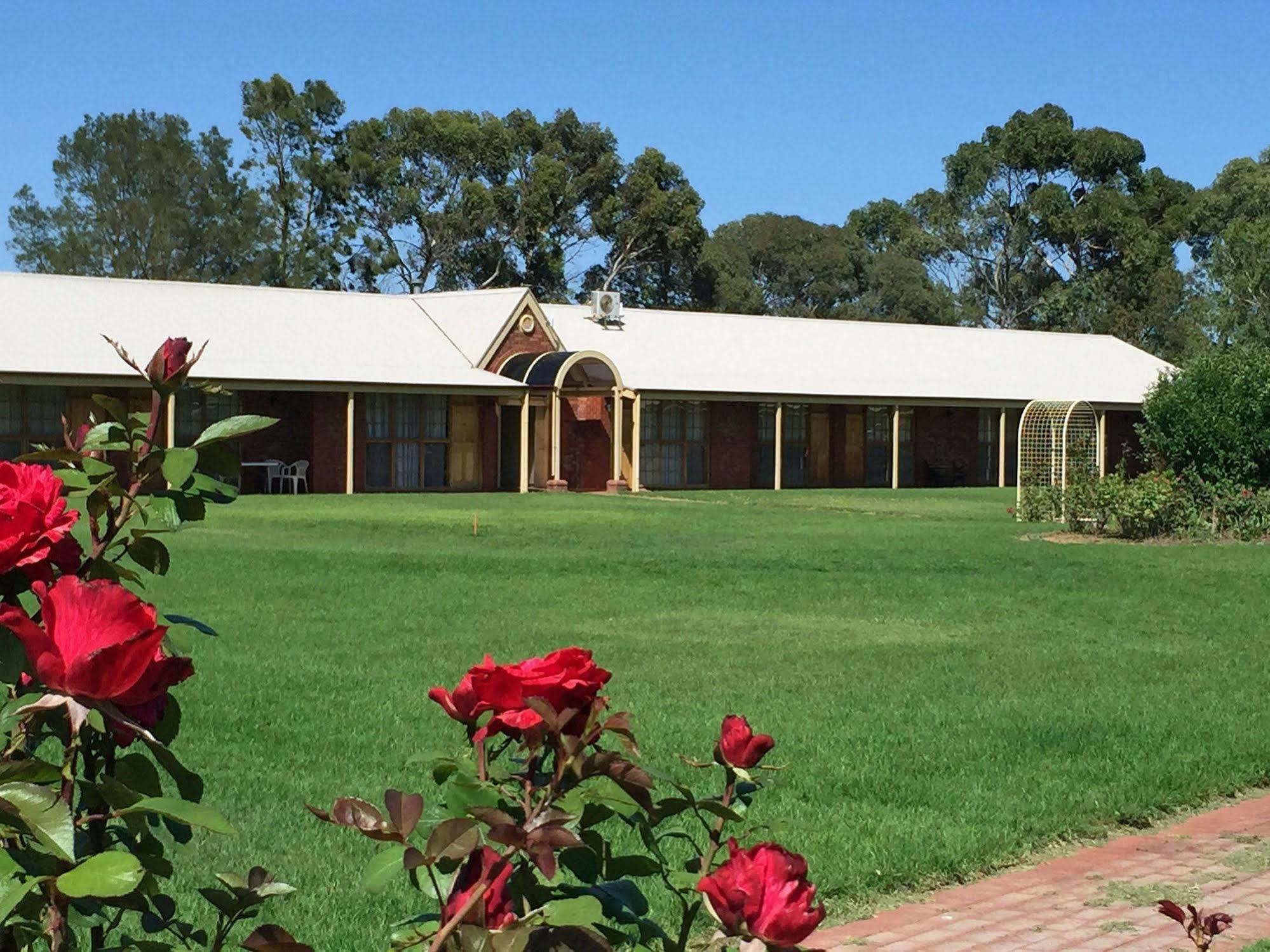 Coonawarra Place Motor Inn Exteriör bild