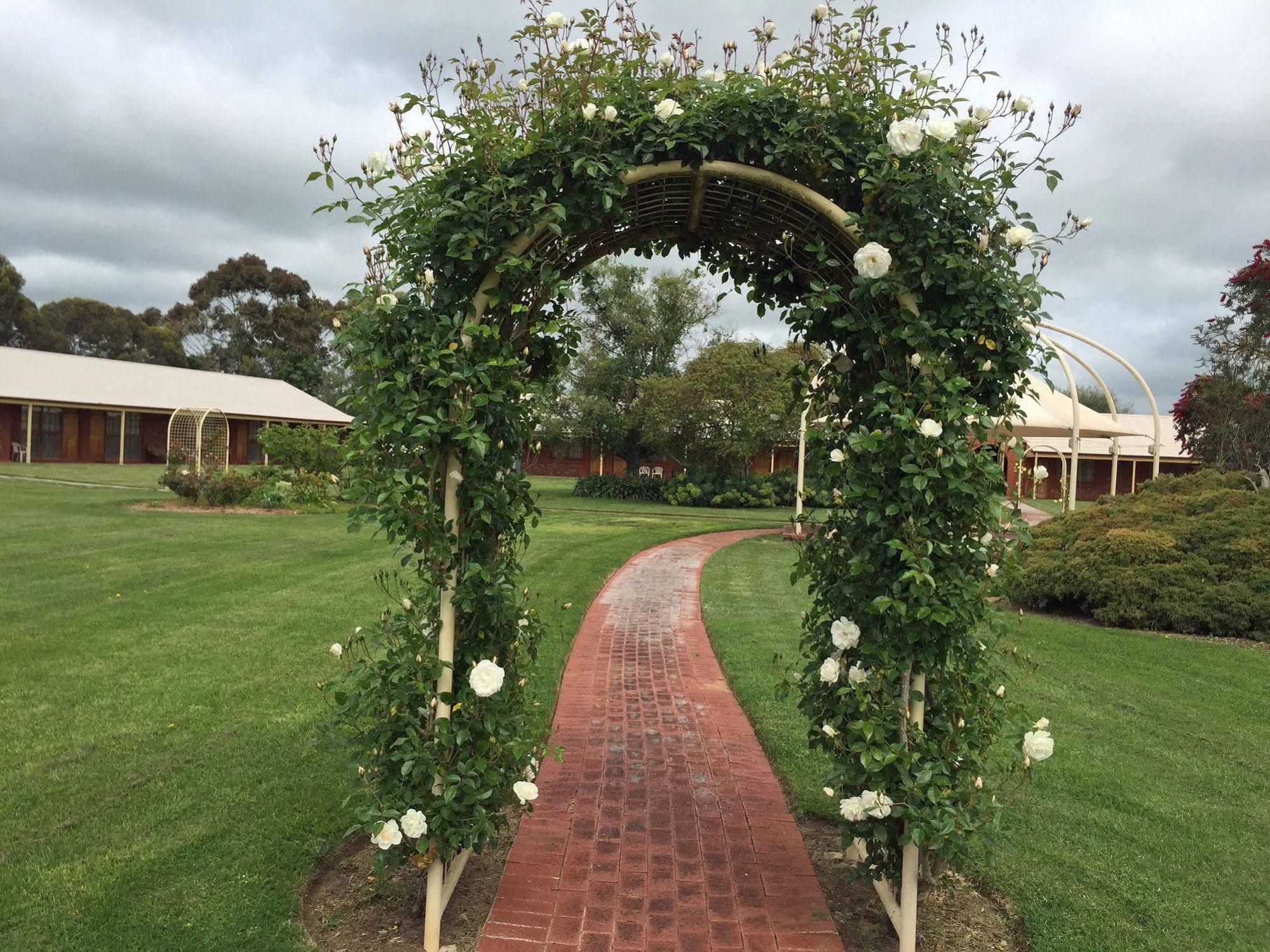 Coonawarra Place Motor Inn Exteriör bild