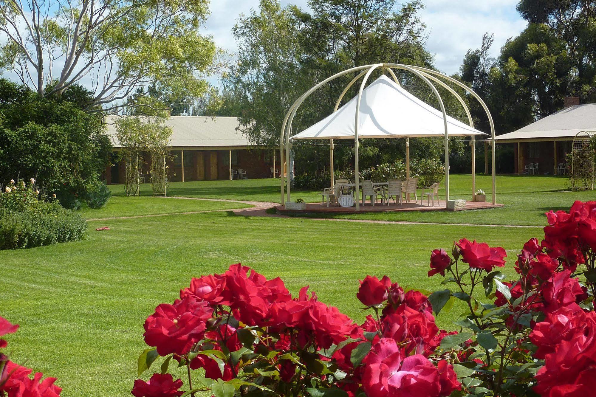 Coonawarra Place Motor Inn Exteriör bild