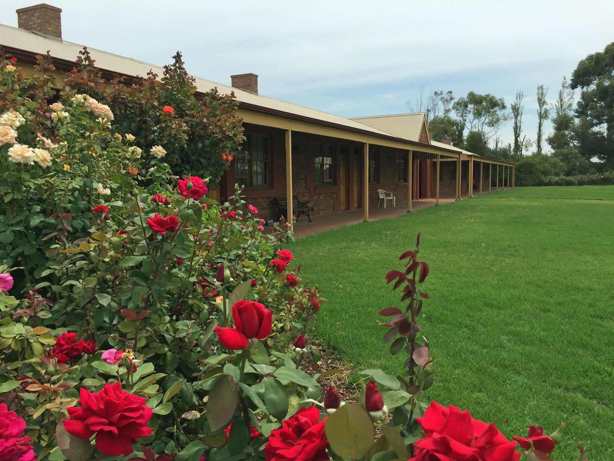 Coonawarra Place Motor Inn Exteriör bild