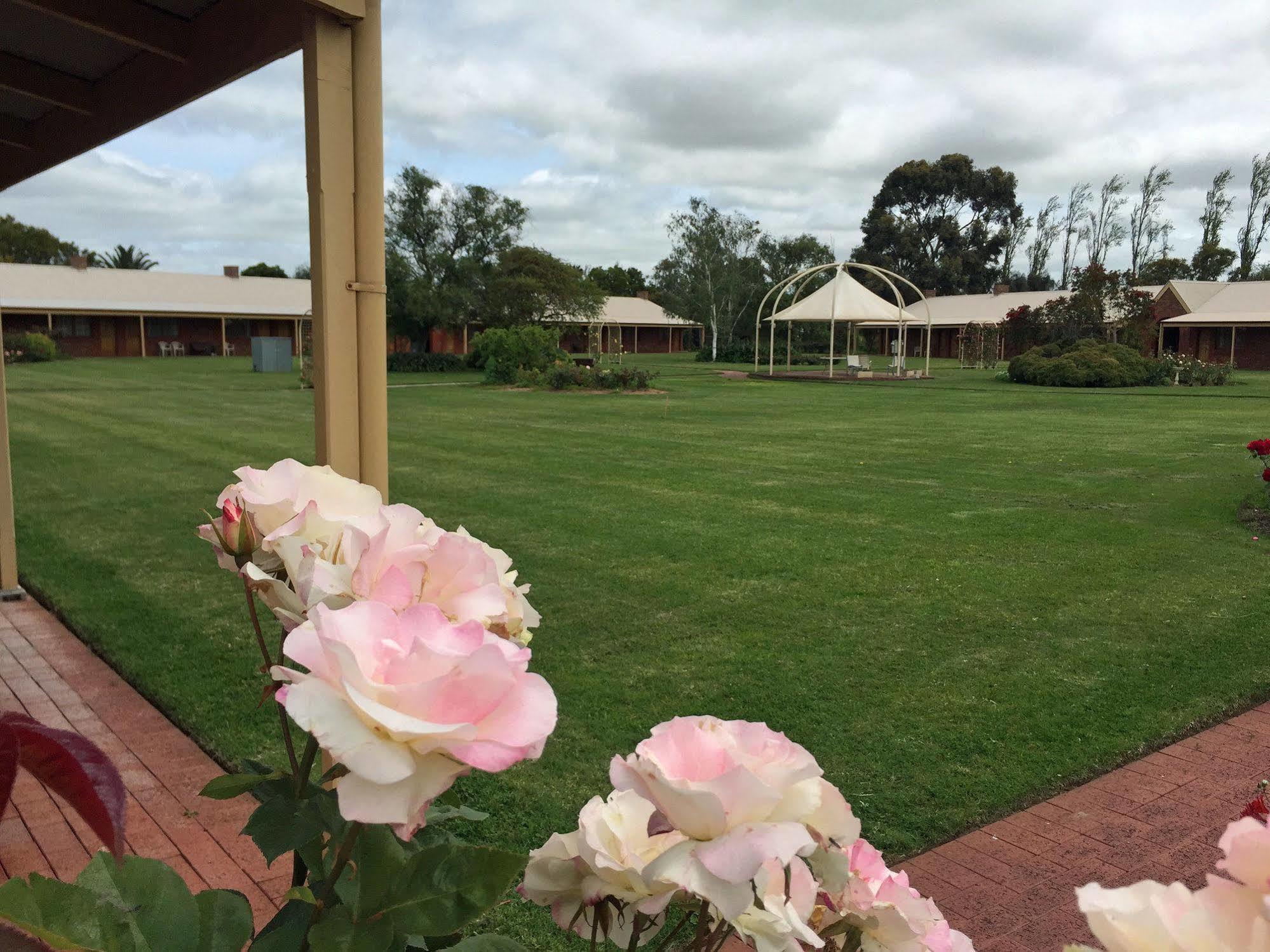 Coonawarra Place Motor Inn Exteriör bild
